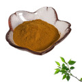 Hot Sale Herbal Plant Extract Slippery Elm Bark Powder / Elm extract powder